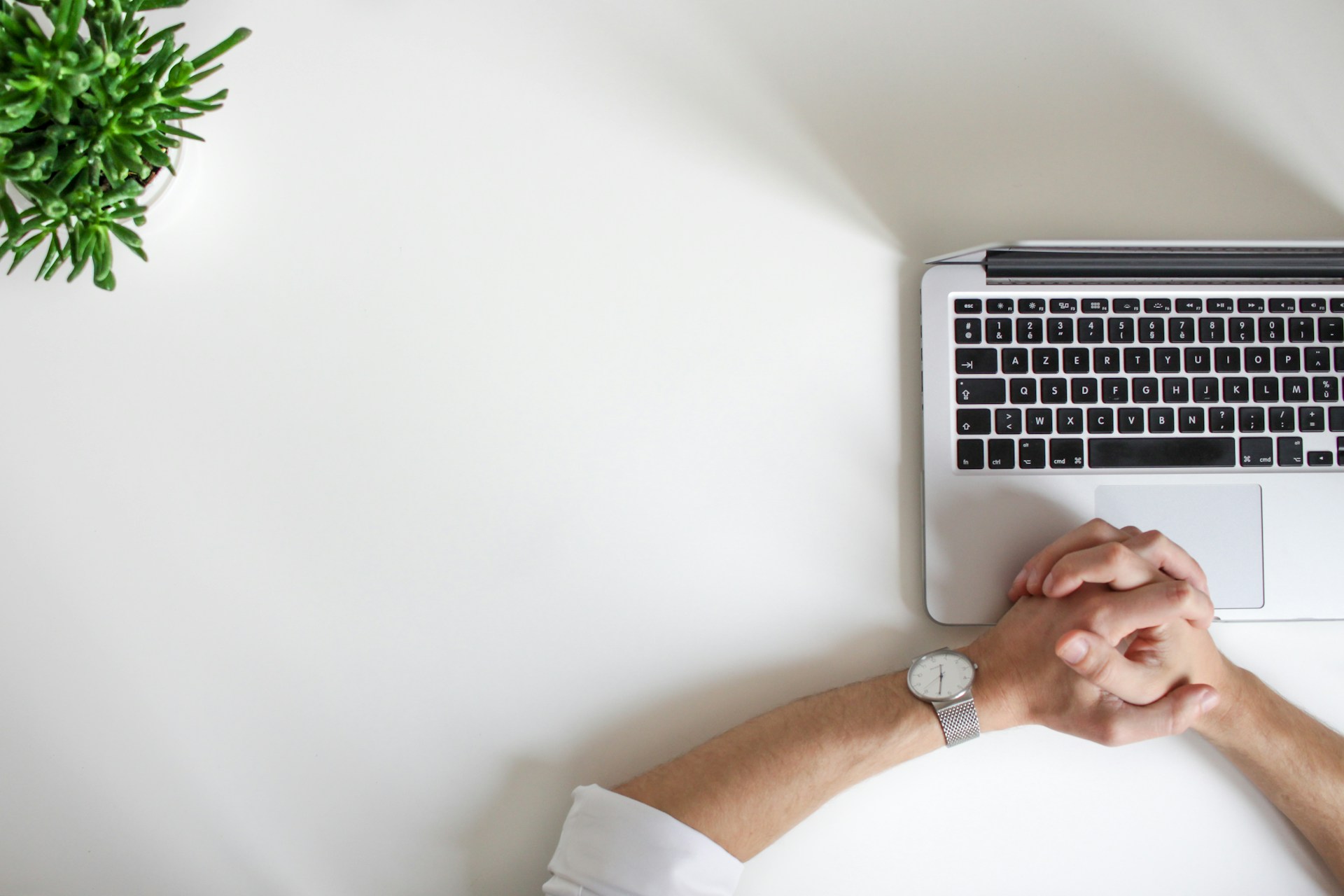 SEO specialist Westland