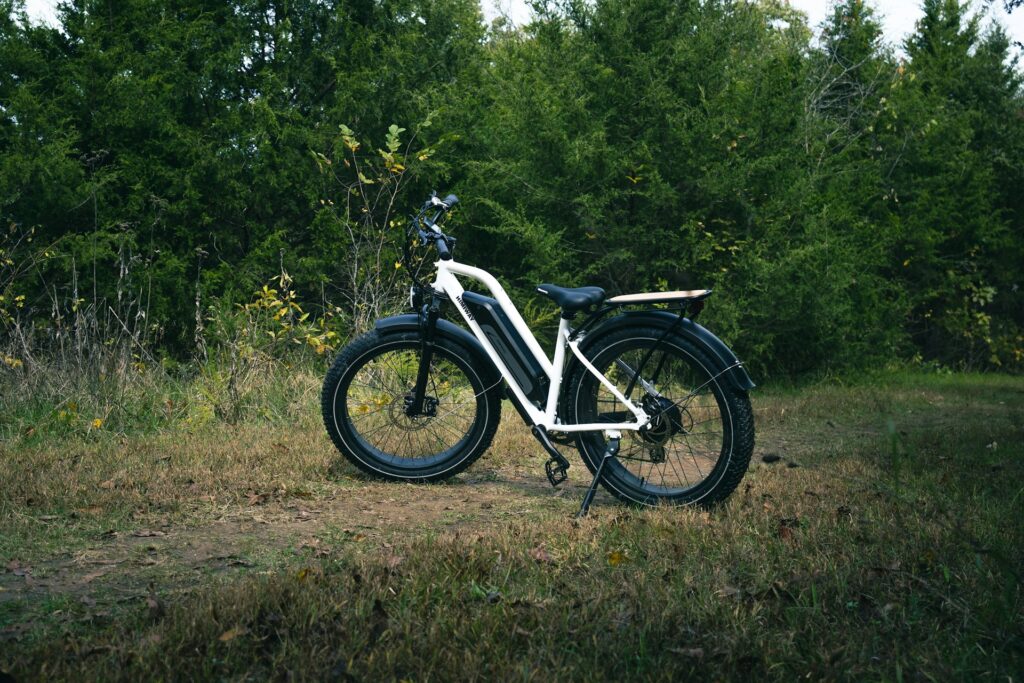 revisie fietsaccu